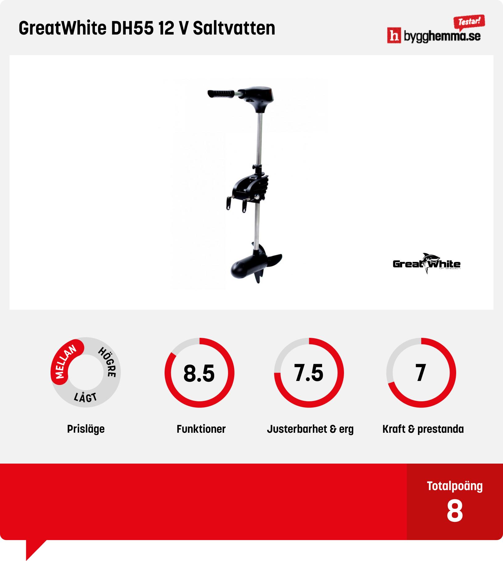 Elmotor båt bäst i test