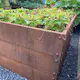 Odlingslåda Flexigarden Cortenplåt 2 mm 800x1200x600 mm