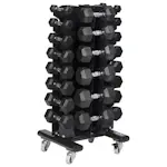 Hantelställ Master Fitness