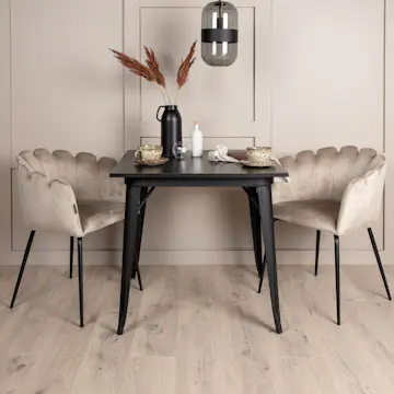 Matgrupp Venture Home Tempe med 2 Limhamn Stolar