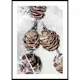 Poster Gallerix Winter Pine Cones
