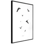 Poster Artgeist Affisch Evening Flight