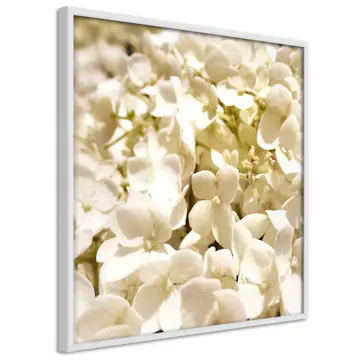 Poster Artgeist Affisch White Meadow