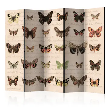 Rumsavdelare Skärmvägg Arkiio Retro Style: Butterflies II 225x172 cm