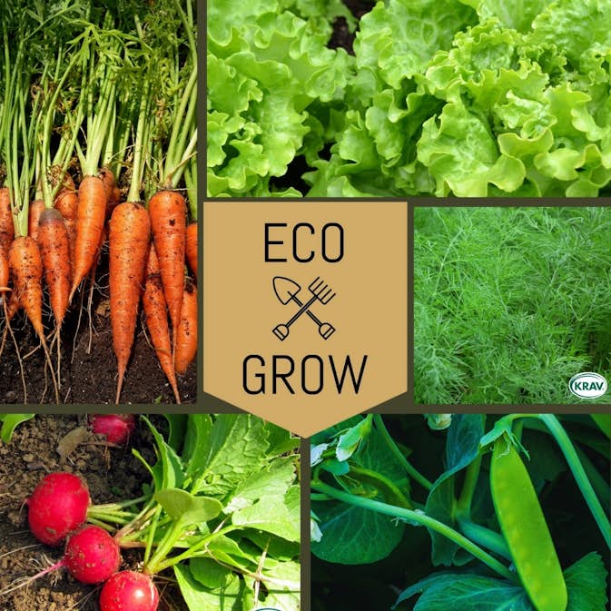 Grönsaksfröer Eco Grow Startkit Trädgårdsfavoriter 5-pack för Odling