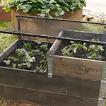 Plast- och näthöjare Flexigarden Grön