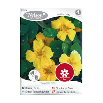 Frö Buskkrasse Nelson Garden Golden Globe gul