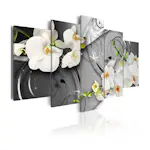 Tavla Arkiio Milky Orchids