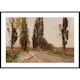 Poster Gallerix Boulevard Of Poplars Near Plankenberg By Emil Jakob Schindler
