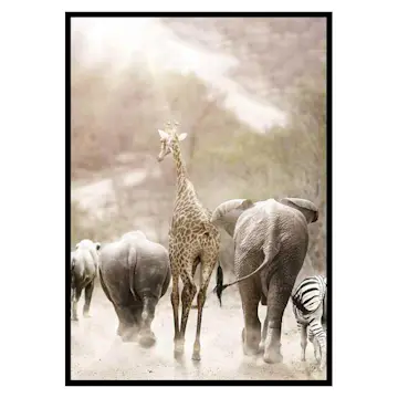 Poster Gallerix Wild African Animals