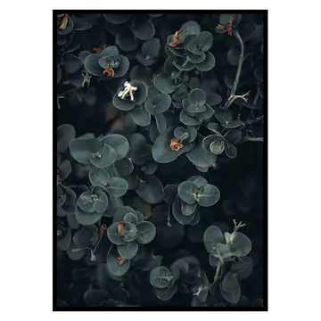 Poster Gallerix Dark And Green Botanical