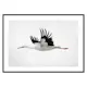 Poster Gallerix Watercolor Stork