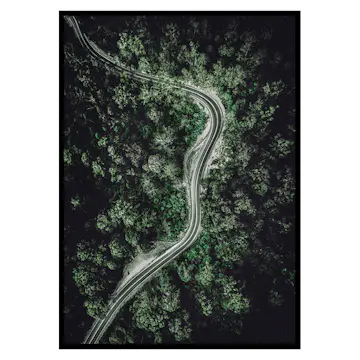 Poster Gallerix Forest Road