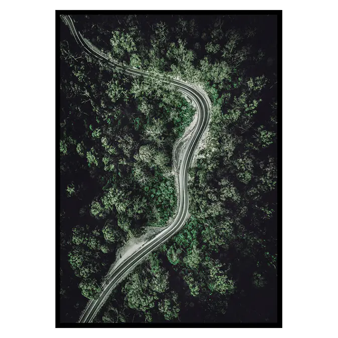 Poster Gallerix Forest Road