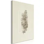 Tavla Arkiio Field Sketch