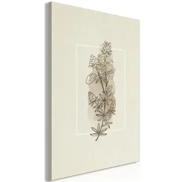 Tavla Arkiio Field Sketch