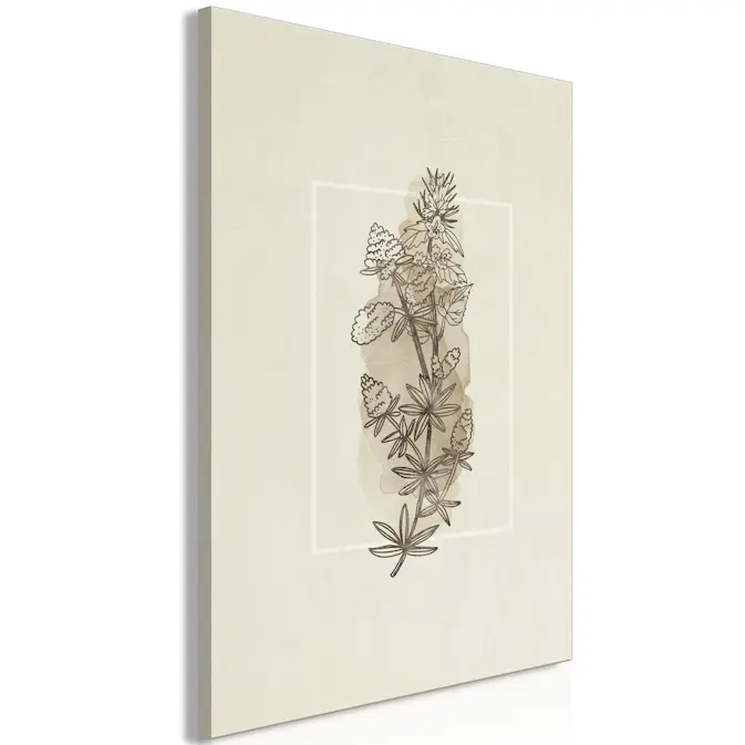 Tavla Arkiio Field Sketch