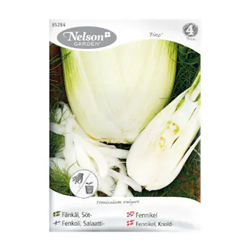 Frö Fänkål Nelson Garden Fino Söt