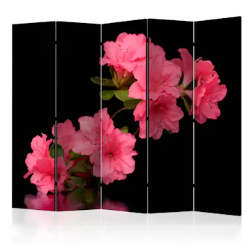 Rumsavdelare Skärmvägg Arkiio Azalea in Black II 225x172 cm