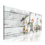 Tavla Arkiio White Dreams