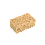 Proffssvamp Tebo Grovporig