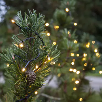 Ljusslinga Star Trading Start System Decor 100L