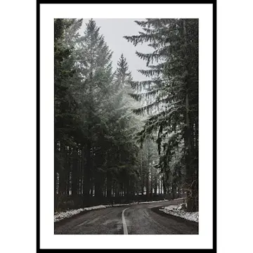 Poster Gallerix Deep Forest Road