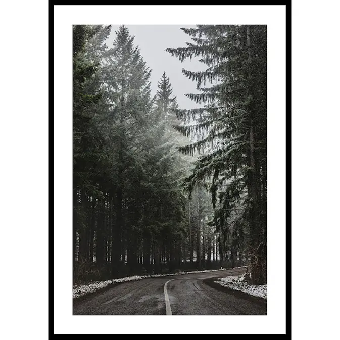 Poster Gallerix Deep Forest Road