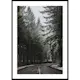 Poster Gallerix Deep Forest Road