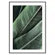 Poster Gallerix Banana Leaves No1