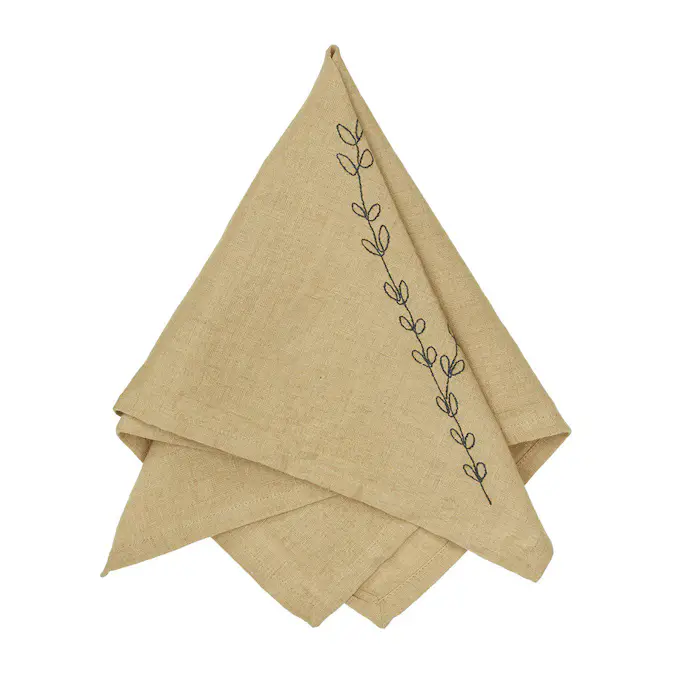 Servett Svanefors Amie