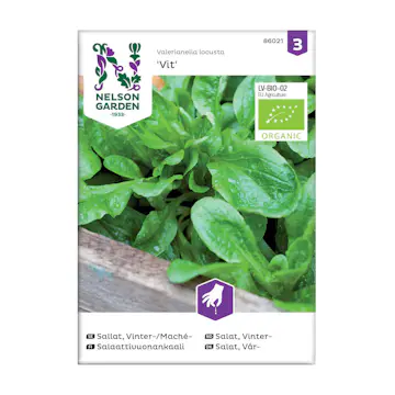 Frö Vintersallat Nelson Garden Mâche Vit Organic