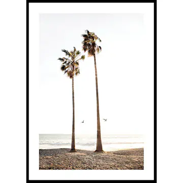 Poster Gallerix Paradise Palm Trees
