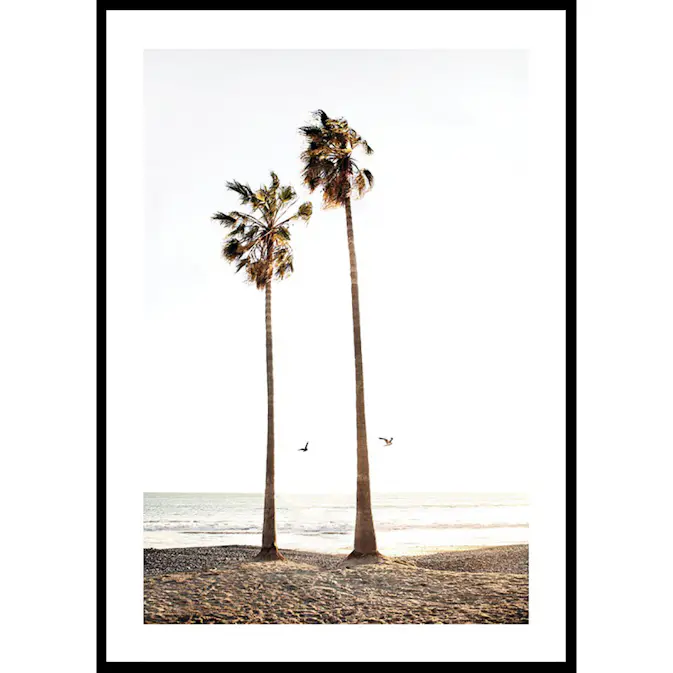 Poster Gallerix Paradise Palm Trees