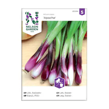 Frö Salladslök Nelson Garden Apache Röd