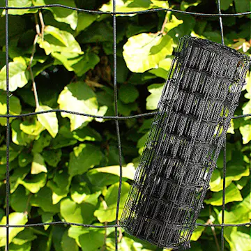 Trädgårdsstängsel NSH Maskstorlek 10 x 10 cm Svart