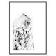 Poster Gallerix Snow Owl