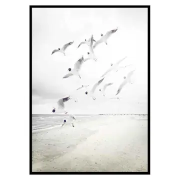 Poster Gallerix Black-Headed Seagulls