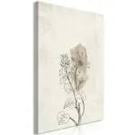 Tavla Arkiio Outline of Nature