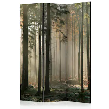 Rumsavdelare Skärmvägg Arkiio Foggy November Morning 135x172 cm