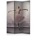 Rumsavdelare Skärmvägg Arkiio Classical Dance Poetry Without Words 135x172 cm