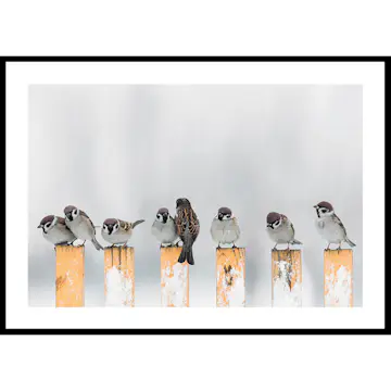 Poster Gallerix Willow Finches