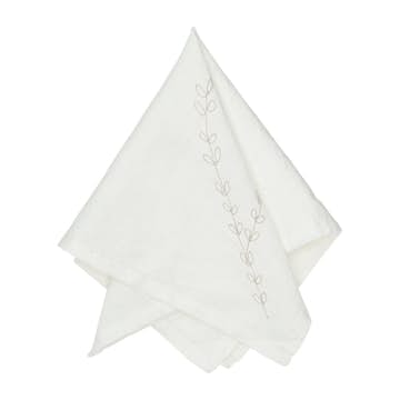 Servett Svanefors Amie