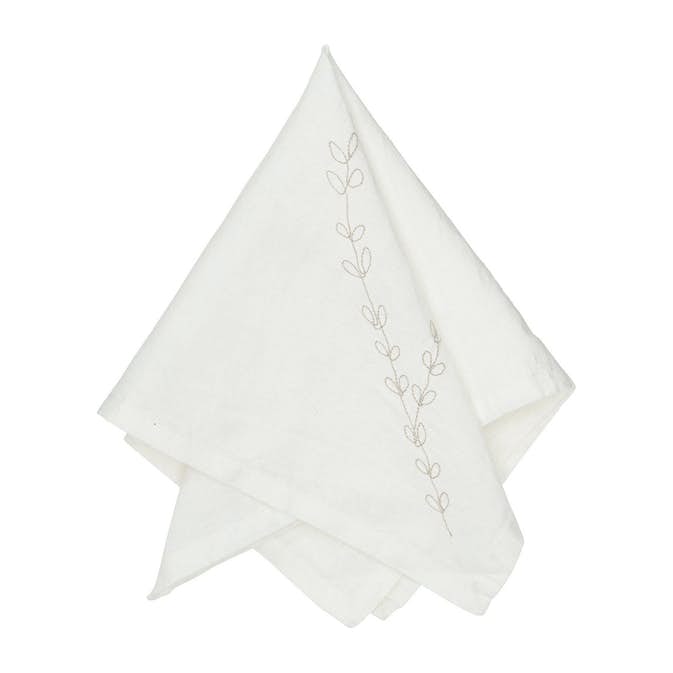 Servett Svanefors Amie