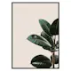 Poster Gallerix Rubber Plant Natural