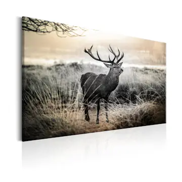 Tavla Arkiio Dangerous Horns