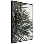 Poster Artgeist Affisch In the Shade of Palm Trees