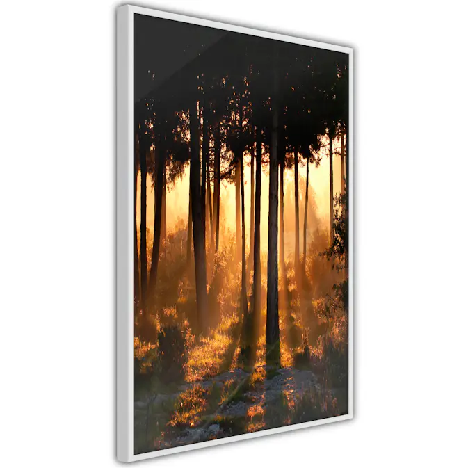 Poster Artgeist Affisch Honey Forest