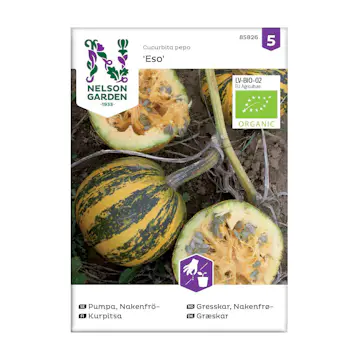 Frö Pumpa Nelson Garden Nakenfrö Eso Organic