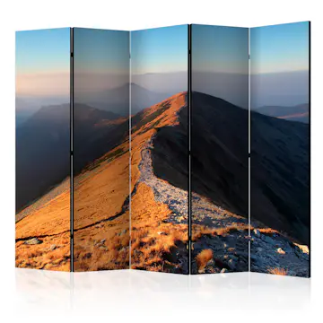 Rumsavdelare Skärmvägg Arkiio Mountain Footpath Tatras II 225x172 cm